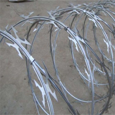 �ӱ��߸��͵�Ƭ���K�S����ɽ��\�LͲ���d�a�^�ۿڷ��I�\�̾W