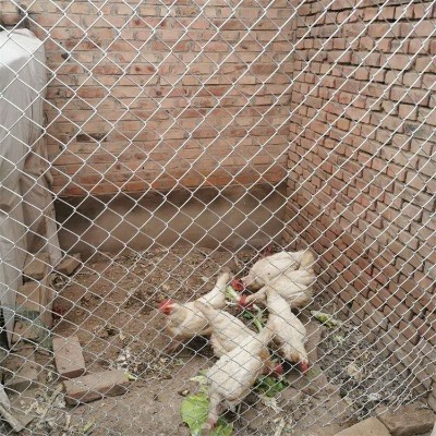 �ӱ���\�����W(w��ng)�S�ҹ���ɽ�������B(y��ng)ֳ���ھW(w��ng)̫ԭ���@�B(y��ng)�u�����W(w��ng)