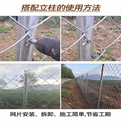 �ӱ���\�����W(w��ng)�S�ҹ���(y��ng)�L(zh��ng)�����z���·��W(w��ng)��ƽ���(ch��ng)�B(y��ng)ֳ���ξW(w��ng)