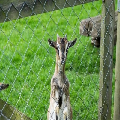 �ӱ���\�����W(w��ng)�S�ҹ���(y��ng)�����������·��W(w��ng)����pvc���(ch��ng)�����W(w��ng)