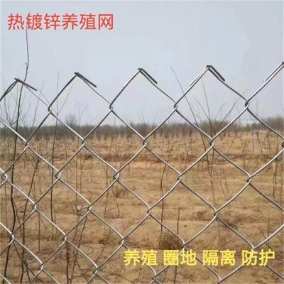 �ӱ���\�����F�z�W�S�Ұ���w�����������W�����w�������o����