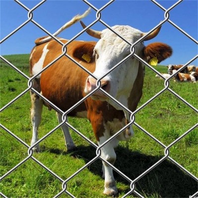 �ӱ���\�����F�z�W�S������w�������ܹ���������\�Bֳ�F�z�W