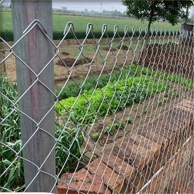 �ӱ�ú�V֧�o(h��)�W(w��ng)�S�ғP(y��ng)�ݾG����j(lu��)�F�z�W(w��ng)�(zh��n)���W(xu��)У���ξ������W(w��ng)