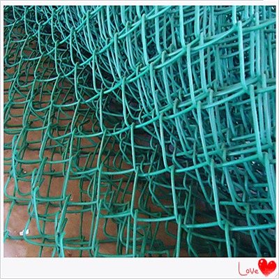 �ӱ��w�������W�S�Ҷ�����\���ξ����W���ú�V�������ξW