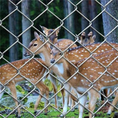 �ӱ��w�������W�S�Ұ�����ú�V֧�ܷ��o�W�Dľ��˽��ٵV��F�z�W