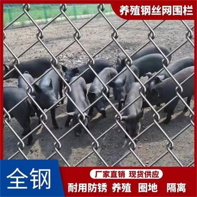 �ӱ��w�������W�S�ҹ��������w�������ܹ���������\�Bֳ�F�z�W