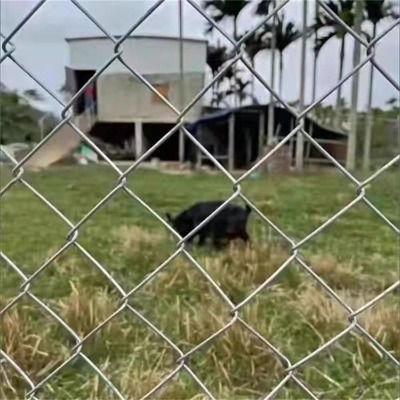 �ӱ��w�������W(w��ng)�S�ҹ���(y��ng)������������o(h��)�ڏB�Tú�V���ξ����W(w��ng)