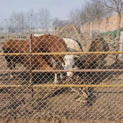 ��������\���o�W�@��������o���µ��G�����W