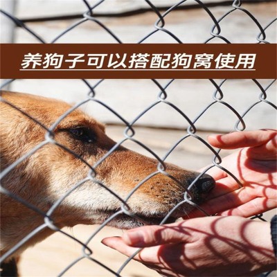 5Ŀ��\�����W(w��ng)��\�����F�z�W(w��ng)��\���ξ����W(w��ng)