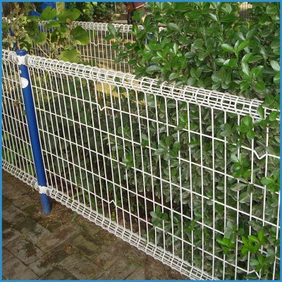 �ӱ������ۏ��o�ھW�S�ҹ����������Ϸ����o�ھW���֘��������W