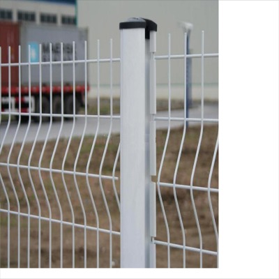 6���׼����Bֳ�F�z�W�Bֳ���ھW�����o�ھW