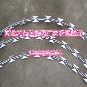 �L�����P䓵�Ƭ�̾W���ִ��K���o�W�S�Ҙ���