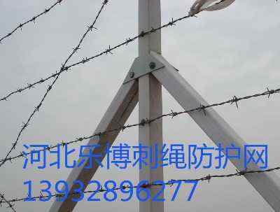 ���ղ��P�䓽z�W(w��ng)�~�겻�P䓴��F�z