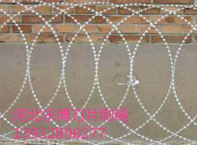 �����F·���o���K��Ѩ���P䓵�Ƭ�̾W(w��ng)