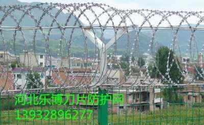 ������Ƭ�̽z�L�\�̌���Ƭ�L�\�W