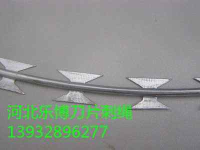 �������P䓵�Ƭ�̽z�L�\�G�T��\��Ƭ�̾W