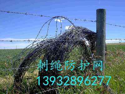 �V����·�B�o���o�W����С�^���^���I�W