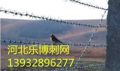 �V���Gɫ�����F�z�W���ݾGɫ�F�z�W