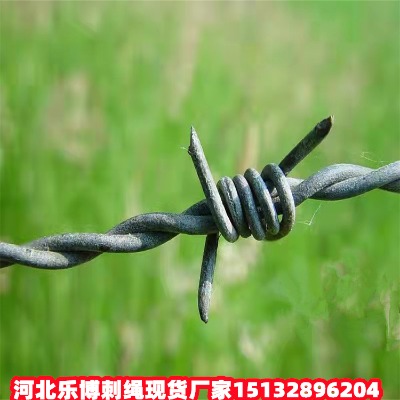 ��ƽ��\���K�S���㽭���P��F�z�W���ݲ��P�䓽z�W