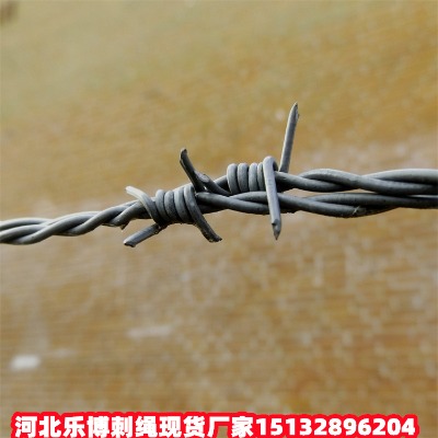 �ӱ���\���K�S�ҽ����������F�z�]ɽ�����̾W���I�W