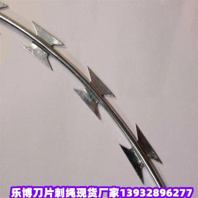 �ӱ���\��Ƭ���K�S���������̇������_��Ƭ�̝L�\