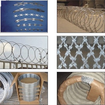 ���������W(w��ng)����O(ji��n)�z�o(h��)��