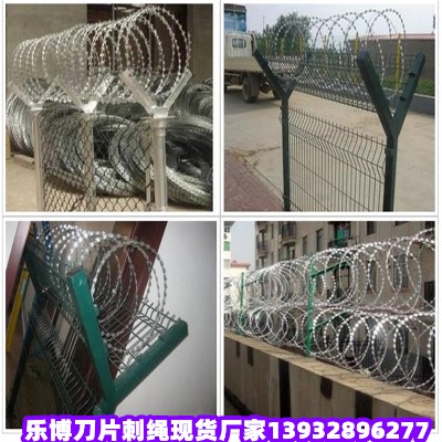 �V�����o�W���ݱO�z�W�F�́��e�L�\���I���x�W