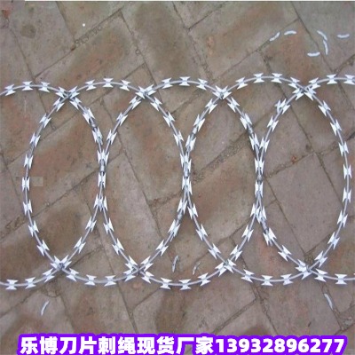 �Ĵ����o���x�̾W(w��ng)�VԪ�O(ji��n)�z�W(w��ng)�F���쌎���o��Ƭ�̾W(w��ng)