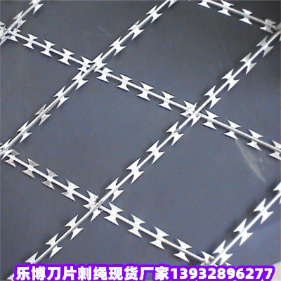 �F�ݷ��o��Ƭ�̾W�ʑѱO�z�o�ڱP�ݷ��o�W