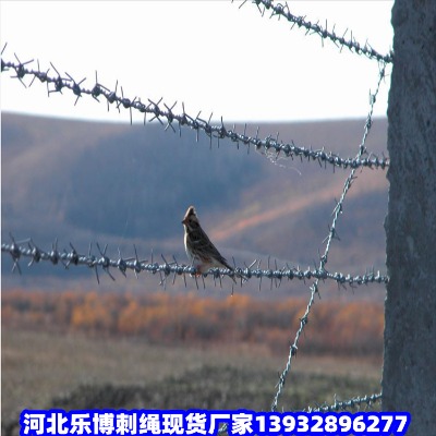 內(nèi)蒙古刺線刺鐵絲阿拉善蒺藜圍欄霍林郭勒公路刺網(wǎng)
