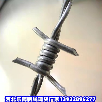 �|����·�̾W�F�X��·�B�o�����F�z�W���|��·�B�o䓽z�W