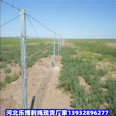 ���K�����̾W(w��ng)���K���T��޼���ږ|�_��·�̾W(w��ng)