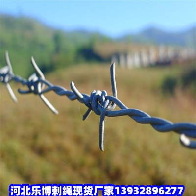 �㽭�F�̾W�_�ݴ������W���d�F��޼���x