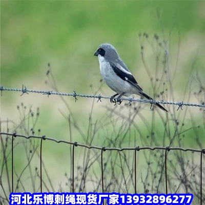 �������ٹ�·�F��޼���d�Gɫ�F�z�W�������䓽z�W