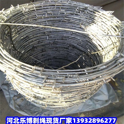 ɽ�|��·�B�o�F��޼�Rʏ��·�̾W��ī���x�o�ھW