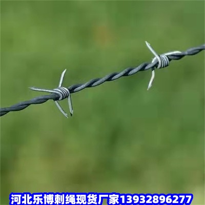 ����䓽z�������I�W(w��ng)���l(xi��ng)����䓽z�W(w��ng)���(y��ng)���I�����W(w��ng)