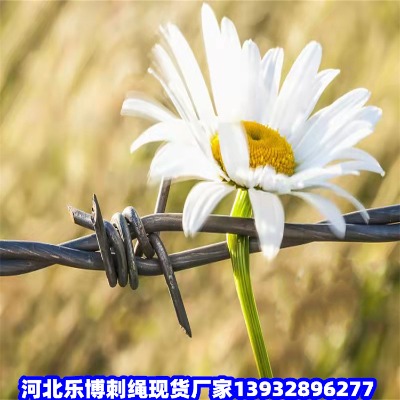 ���֟���\䓽z�W�L��Ȧ�؎����F�z�W�׳�Ȧ��䓽z�W