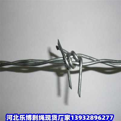 ���������I�F�z�̾W(w��ng)��ľ˹Ȧ�ش��F�zĵ����Ȧɽ�B(y��ng)�o�F��޼