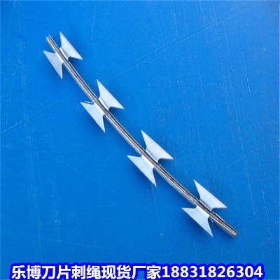 �ӱ���\���K�S�� ���ݎ������� �����������o