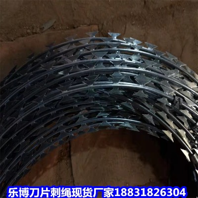 �Ϻ���\���K�S�� �L(zh��ng)���������� ���Ӈ������o(h��)