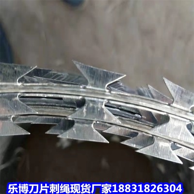 �Ϻ���\���K�S�� ���ַ��I�W �o�������W