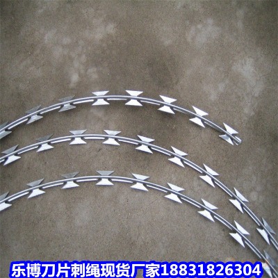 ������\���K�S�� �Lɳ�F·���o���K ���޲��P䓵�Ƭ�̾W(w��ng)