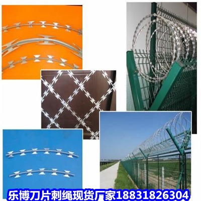 �½���\���K�S�� ����ľ�R�������� ���������������o