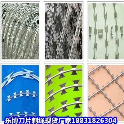 ������\���K�S�� ��ƽ�����̇��� ���r���o(h��)�W(w��ng)