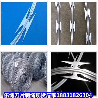 ������\���K�S�� �������P䓴̾W(w��ng) �����C(j��)�����簲ȫ�����W(w��ng)