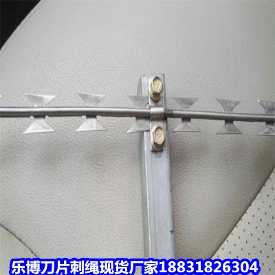 �|����\���K�S�� �������I�W �{��ɽ�����W