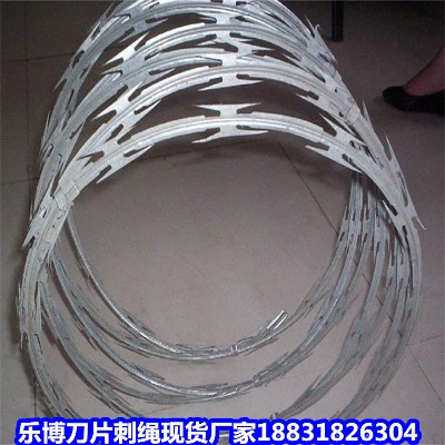 ɽ����\���K�S�� ������\��Ƭ���K �Ž�����\��Ƭ�̾W