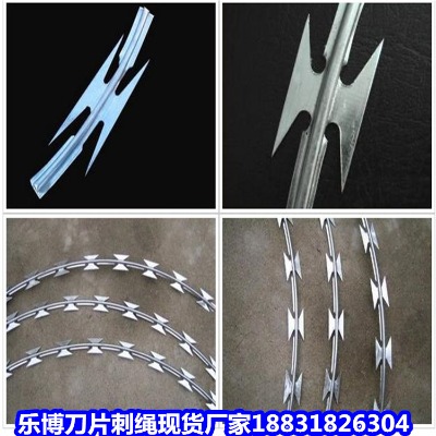 ������\���K�S�� ���ݷ��I�̝L�\ �B�T(m��n)�������I�W(w��ng)