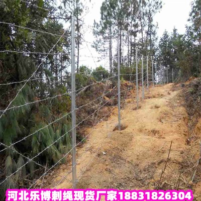 �F����\���K�S�� �����ݾGɫ�˾� �~�ʹ��ܴ��K