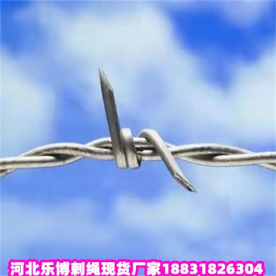 ������\���K�S�� �|����·�̾W �������P䓴��K